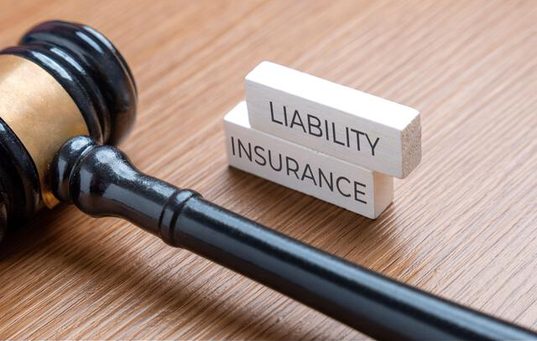 FinCom Explores Landing Fees to Offset Airport Liability Insurance Costs-August 7, 1986