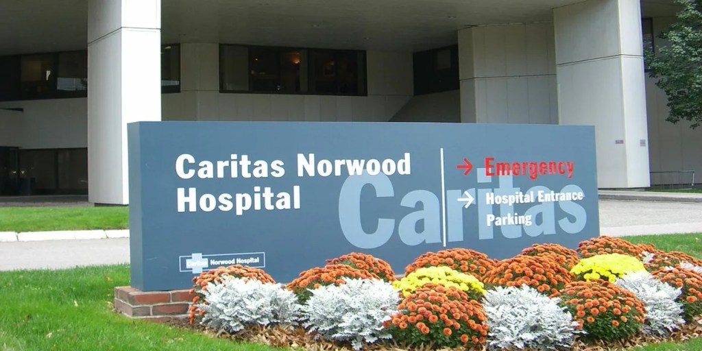 Sign for Caritas Norwood Hospital displaying directions to Emergency, Hospital Entrance, and Parking, surrounded by colorful flowers.