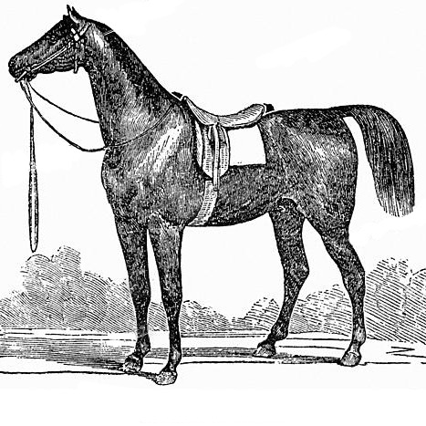 Two Young Horse Thieves-This Day in Norwood History-September 18, 1902