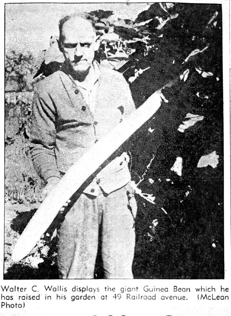 Walter C. Wallis