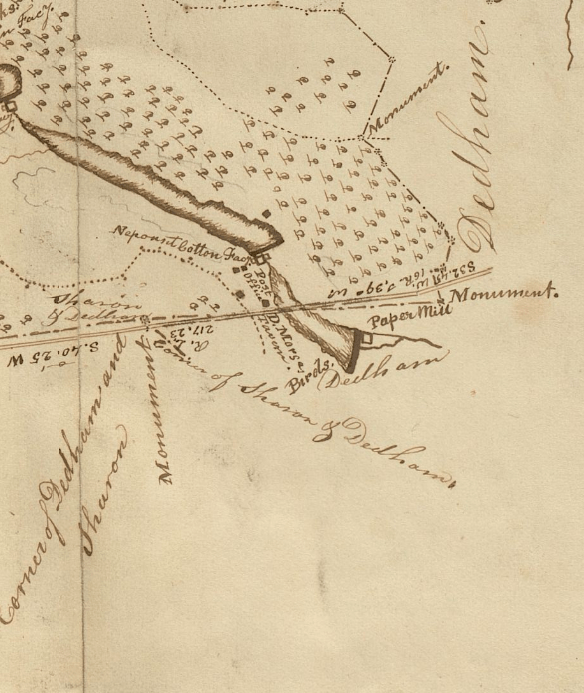 Settling into Life in East Walpole and South Dedham Norwood