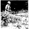 Former Fire Chief, F. Fred Boyden, 94, Is a Garden Hobbyist-This Day In Norwood History-August 26, 1948